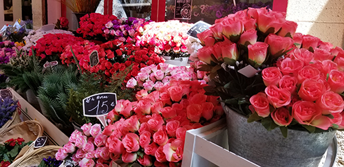 Nice, France - Flower Market (Old Town)